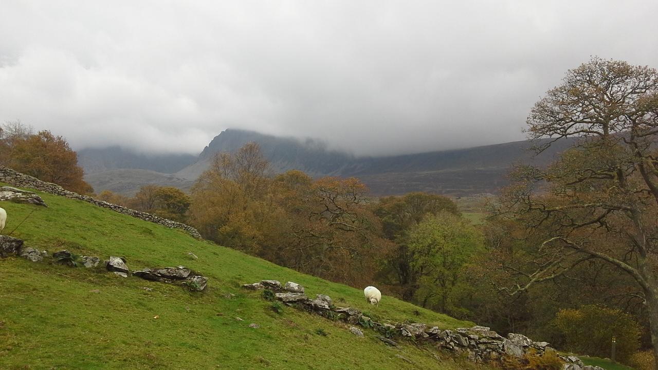 Kings Hostel Dolgellau Bagian luar foto